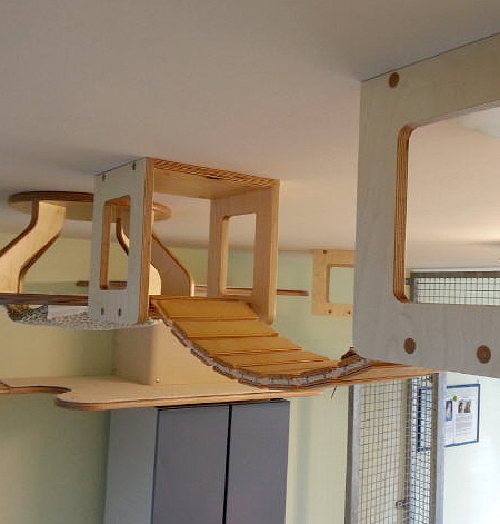 Ceiling Furniture for Cats