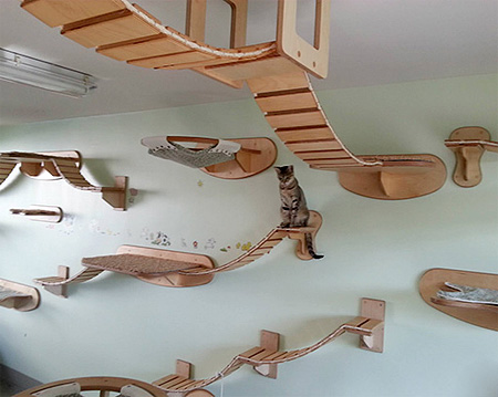 Stefan Hofmann Cat Furniture