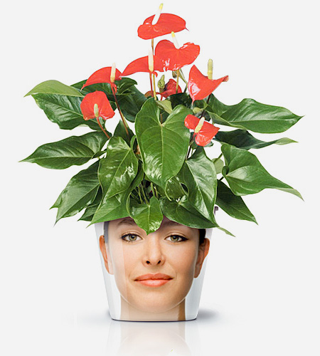 Creative Flower Pot