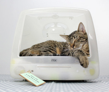 Apple Computer Pet Beds