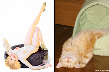 Cats Look Like Pin Up Girls