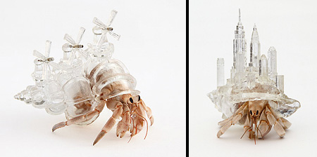 3D Printed Hermit Crab Shells