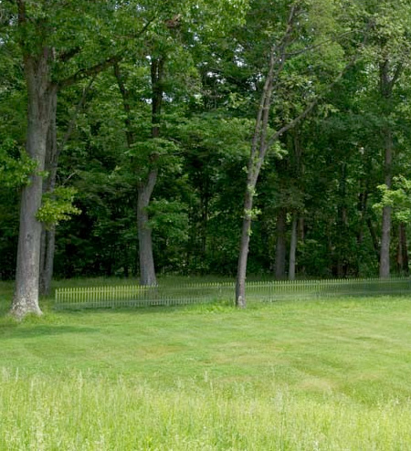 Hidden Fence