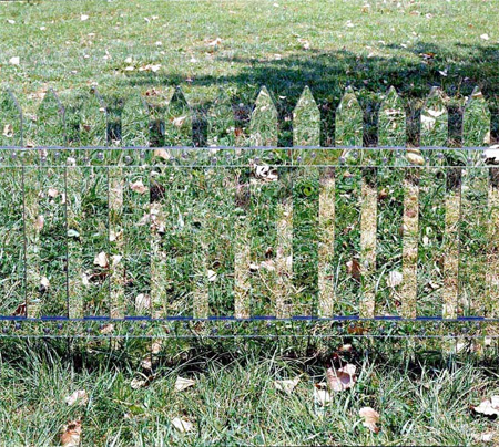 Mirrored Fence