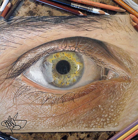 Realistic Pencil Drawings