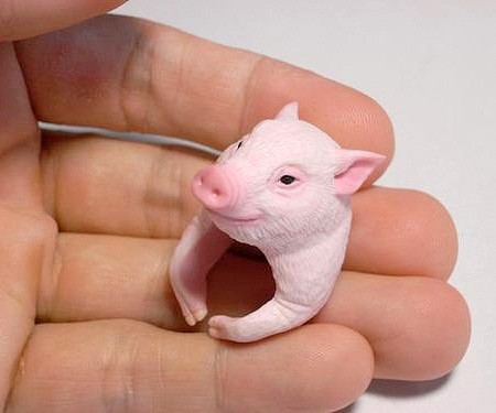 Pig Ring