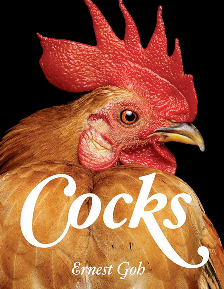 Cocks by Ernest Goh