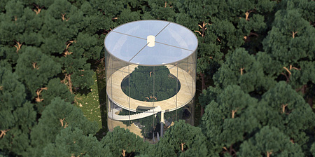 Glass Tree House
