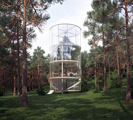 Tree House in the Forest