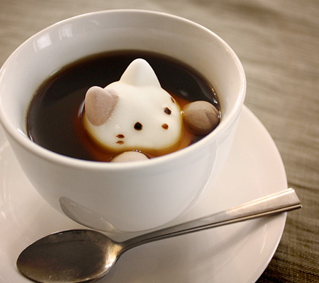 Marshmallow Cat