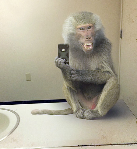 National Geographic Selfie