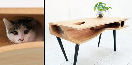 Desk for Cat Owners