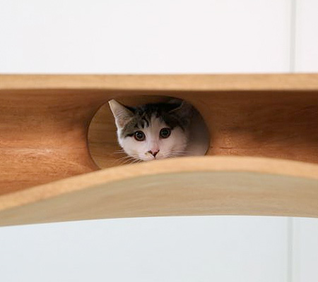 Cat Playground Desk