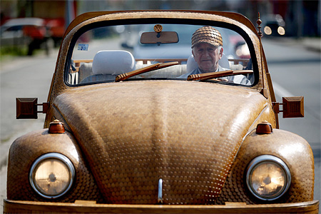 Wooden Beetle