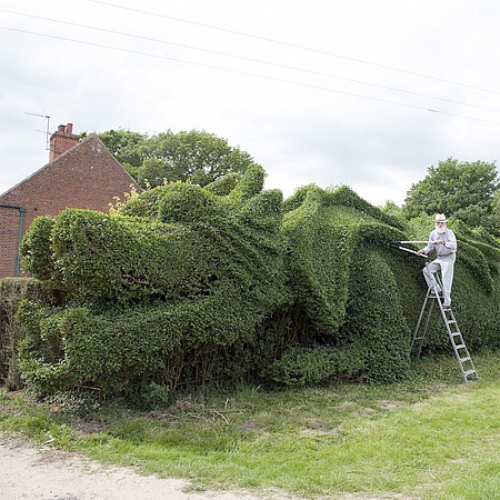 John Brooker Dragon Hedge