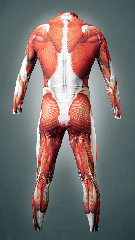 Anatomy Suit