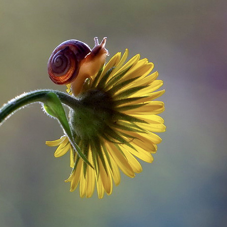 Vyacheslav Mishchenko Photography