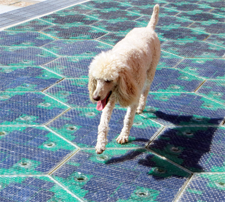 Solar Powered Roads