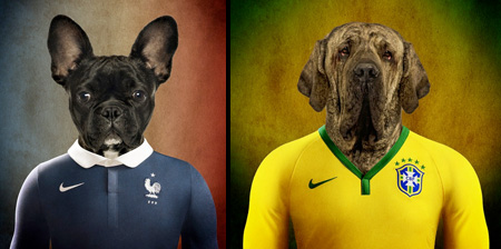 World Cup Dogs