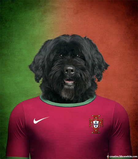 FIFA World Cup Dogs