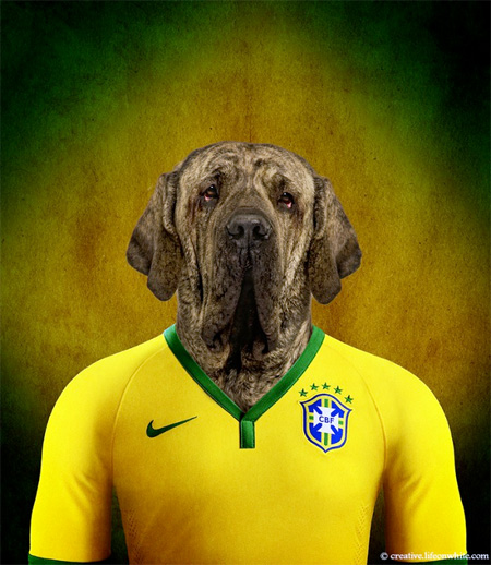 Brazil World Cup