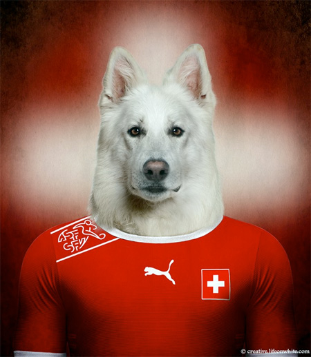 World Cup Dog