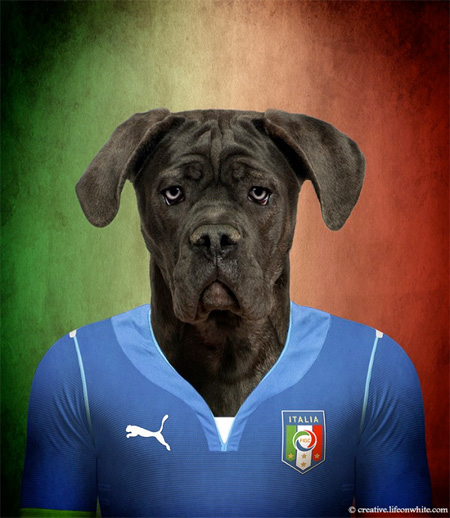 FIFA World Cup Dog