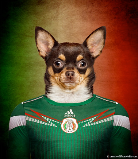 Soccer Nations Dogs