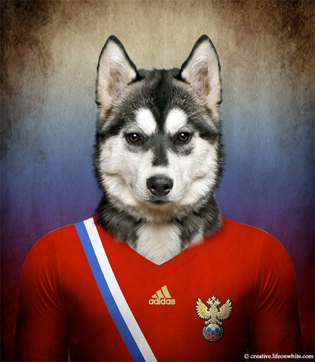 Soccer Nations Dog