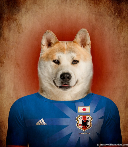 Football Nations Dogs