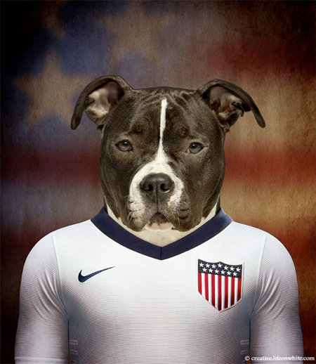 Football Nations Dog