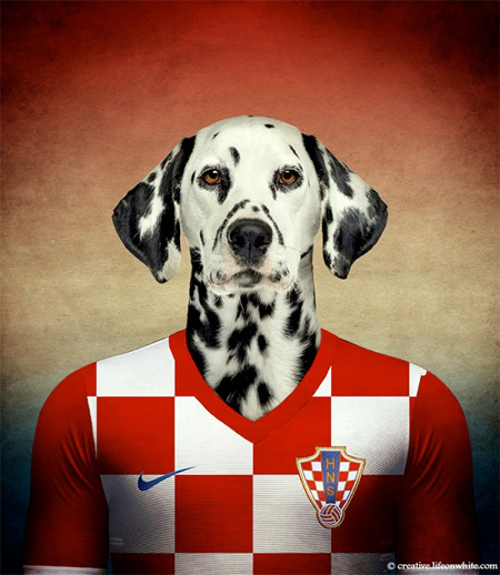 Dog World Cup