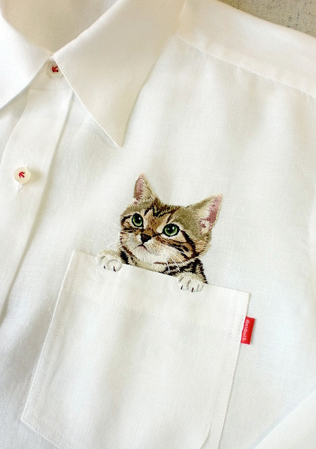 Cats in Pockets