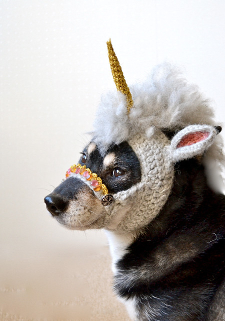 Unicorn Dog