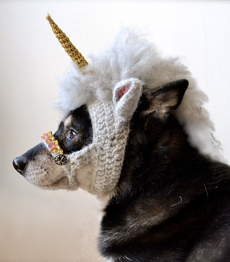 Unicorn Dog Costume