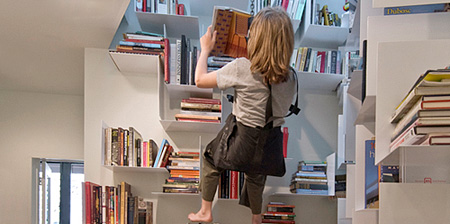 Climbing Bookshelves