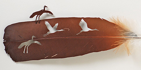 Feather Art by Chris Maynard