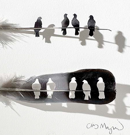 Feather Artwork