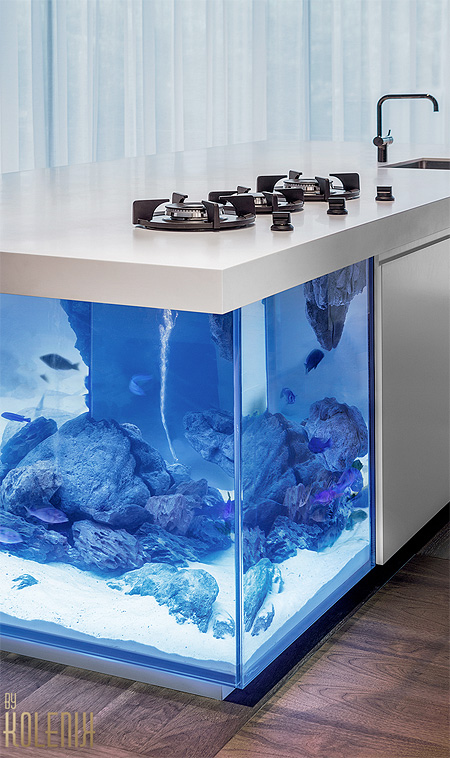 Aquarium Kitchen
