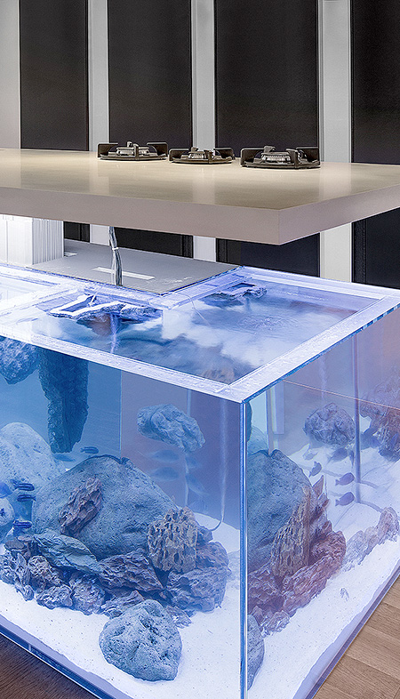 Aquarium for your Kitchen