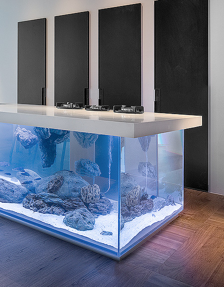 Aquarium in the Kitchen