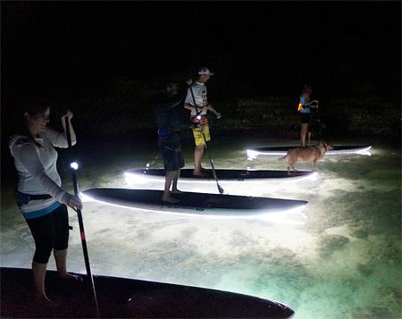 Illuminated Surfboards