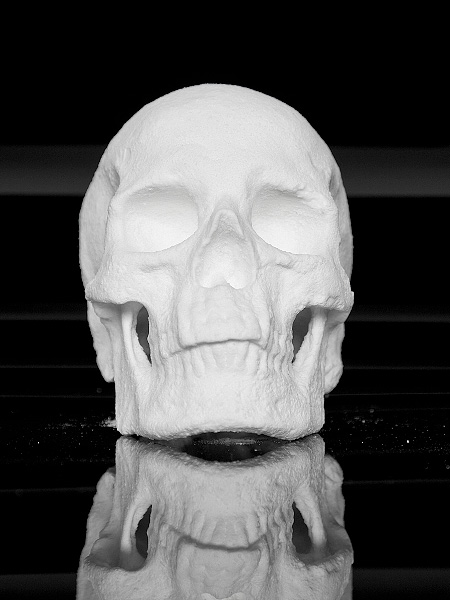 Human Skull Made of Cocaine