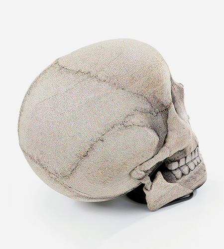 Human Skull Chair