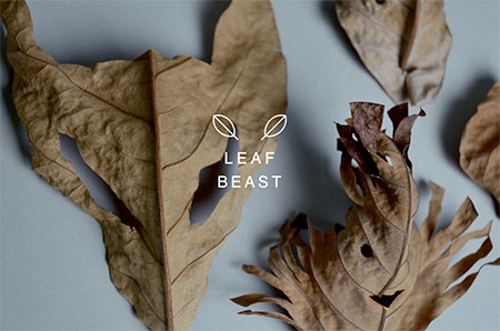 Baku Maeda Leaf Beast