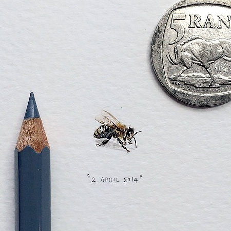 Tiny Art by Lorraine Loots