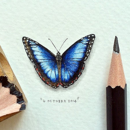 Small Artworks by Lorraine Loots