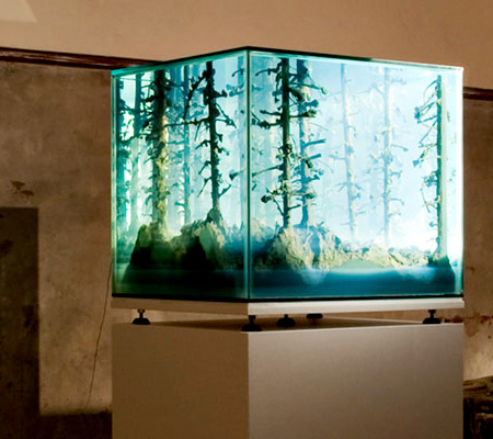 Aquarium Landscape