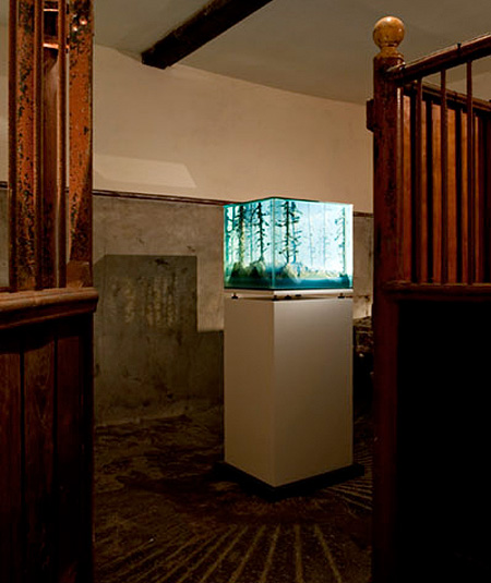 Aquarium Landscapes by Mariele Neudecker