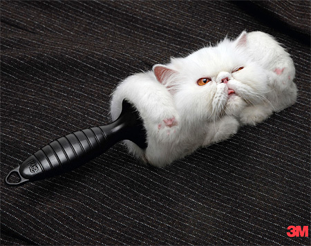 3M Lint Roller Cat